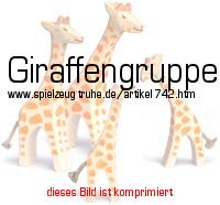 Bild vom Artikel Giraffengruppe